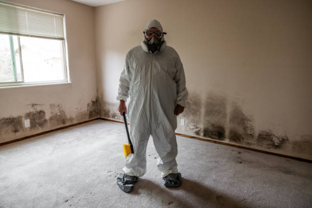 Best Residential Mold Removal  in Crested Butte, CO